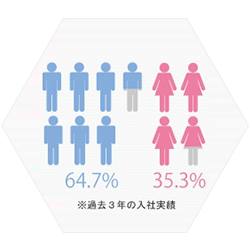 新卒採用の男女比率（過去3年）